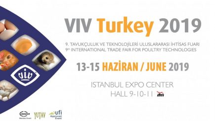 VIV TURQUIA 2019, ISTAMBUL